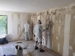 Why You Should Choose Our Mold Remediation Services in Pawnee, IL